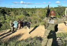 PF, PRF, SSP e FN deflagram duas operações integradas no Extremo Sul da BA