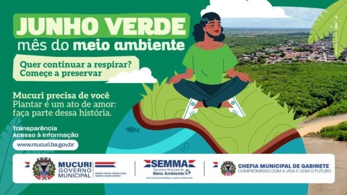 Meio-01-800x450-1